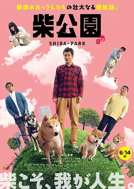黄色精彩视频