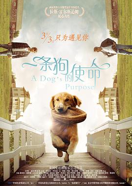 久久com